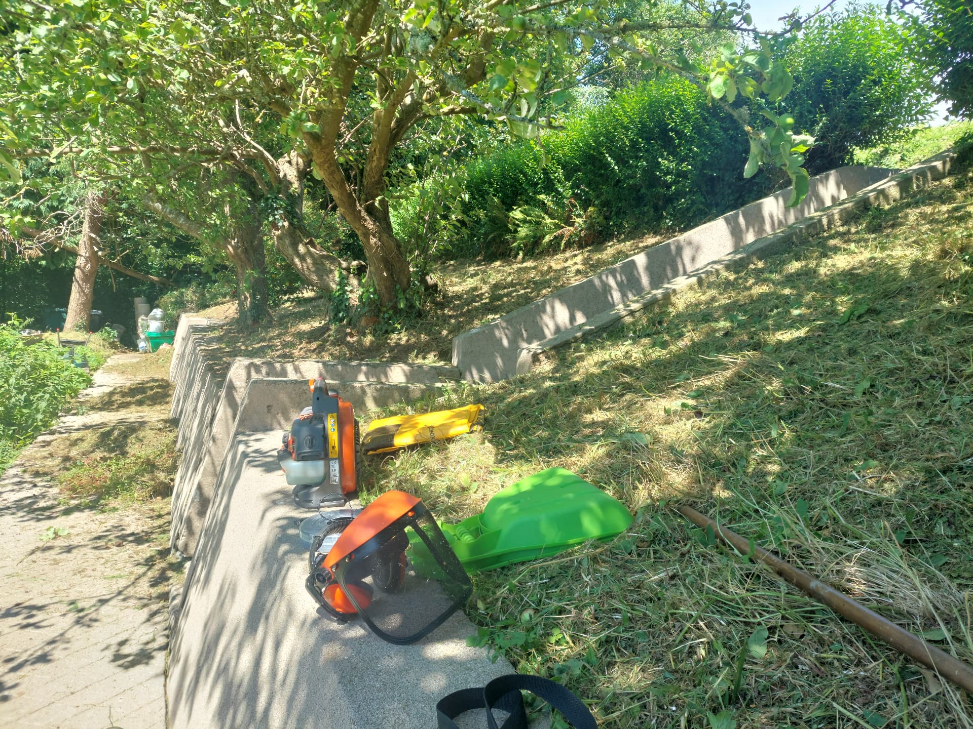 Hedge Cutting — after
