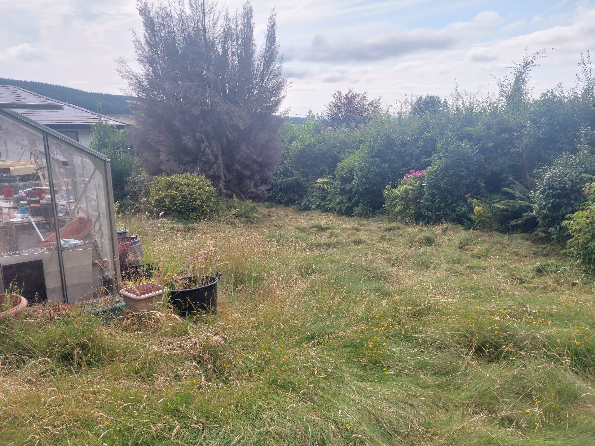 Green Waste Removal — before