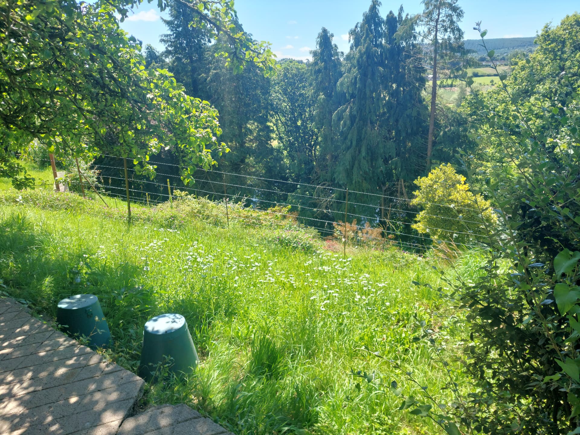 Lawn Cutting — before
