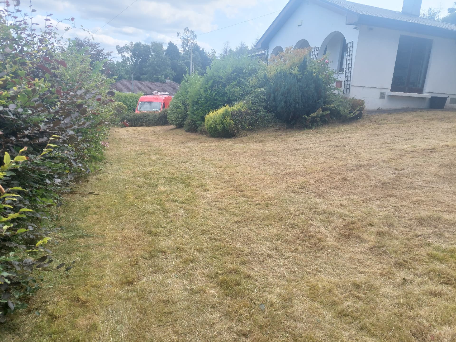 Seasonal Cleanup — after