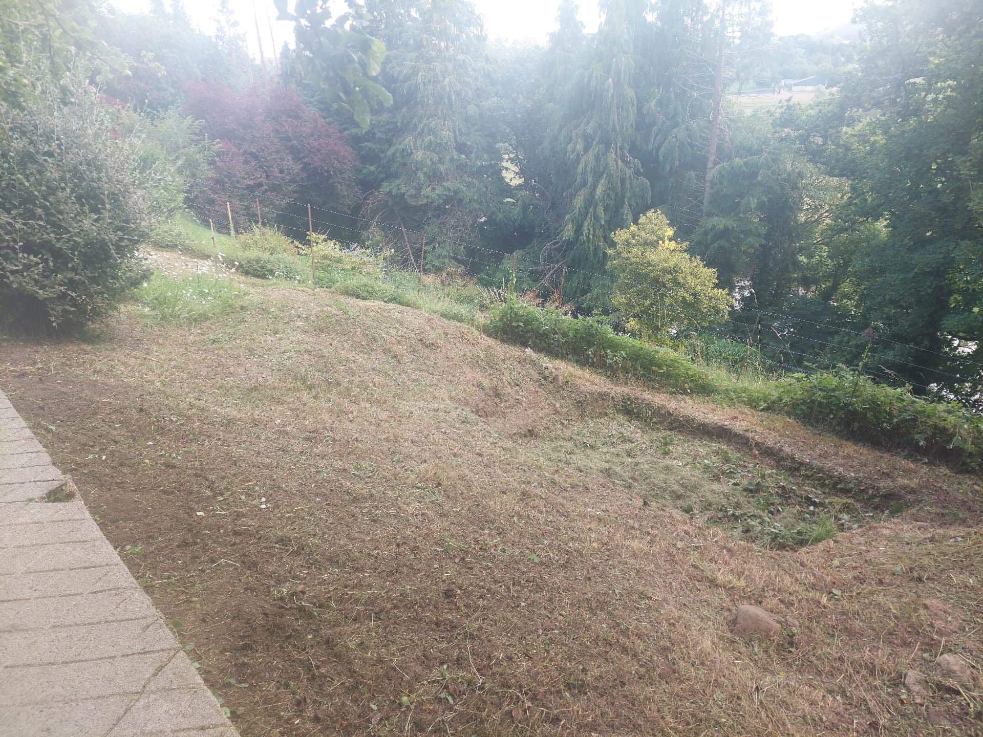 Lawn Cutting — after