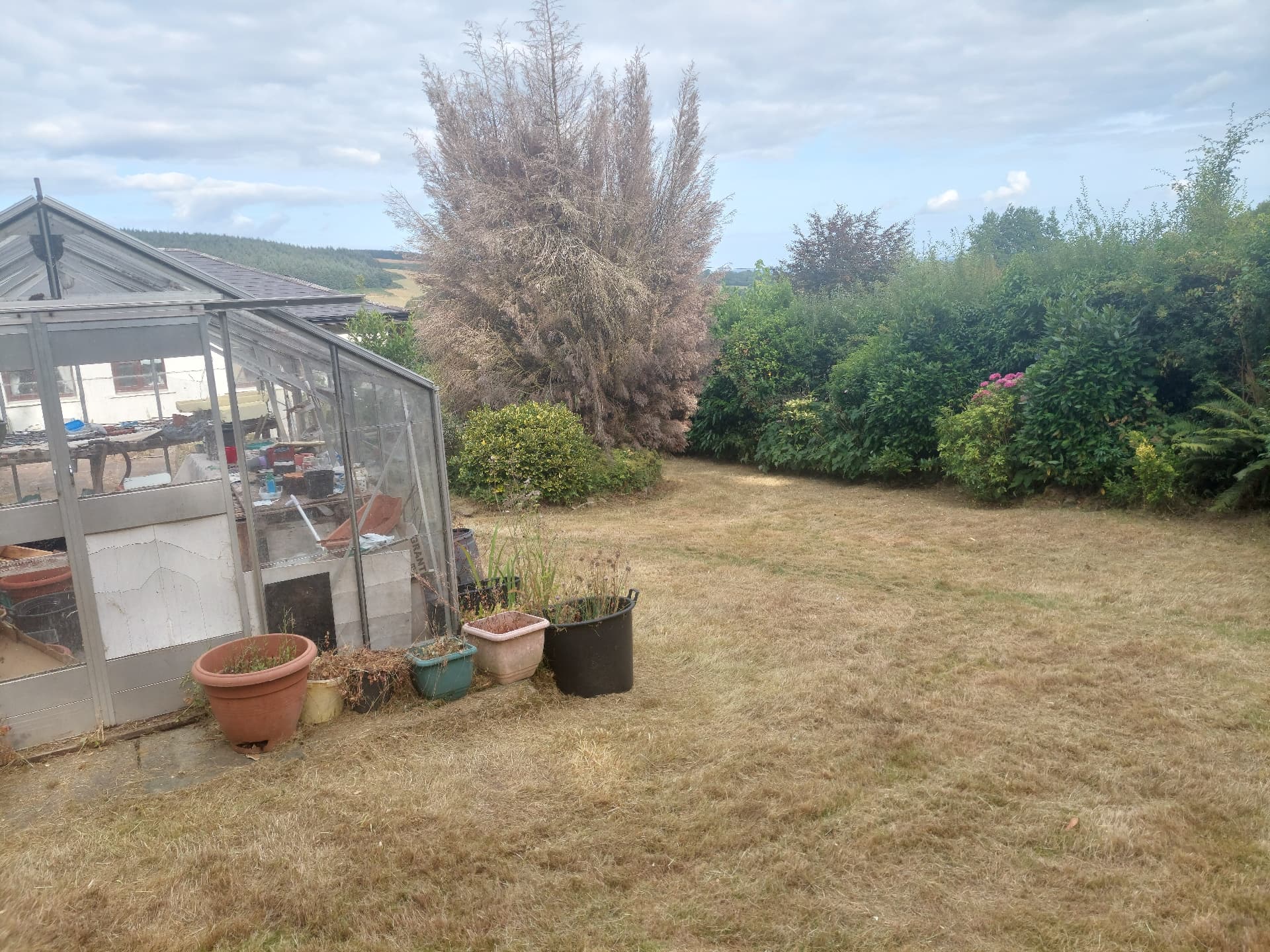 Green Waste Removal — after